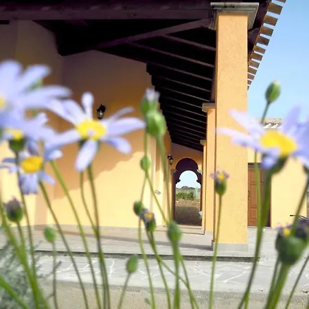 S'incant'e Sinis * San Salvatore (Sardinia)