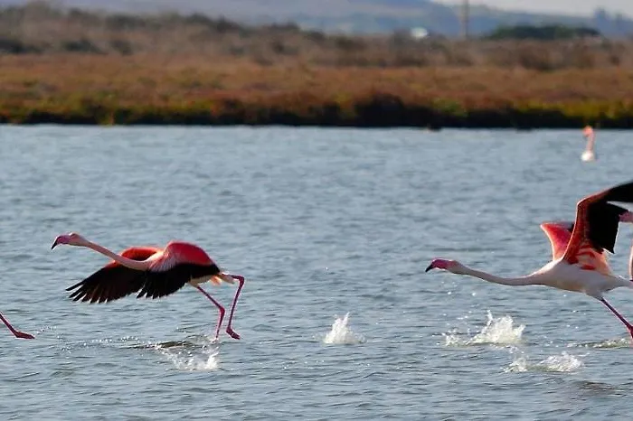 S'incant'e Sinis Agroturismo *