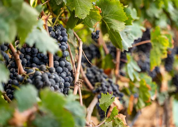 S'incant'e Sinis Agroturismo San Salvatore (Sardinia)