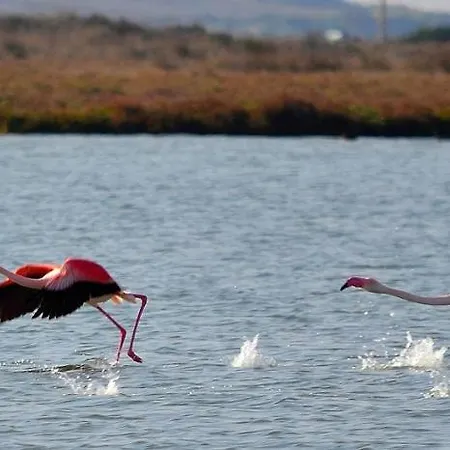 S'incant'e Sinis Farmház *
