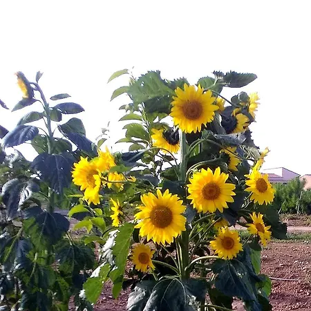 Alloggio per agriturismo S'incant'e Sinis