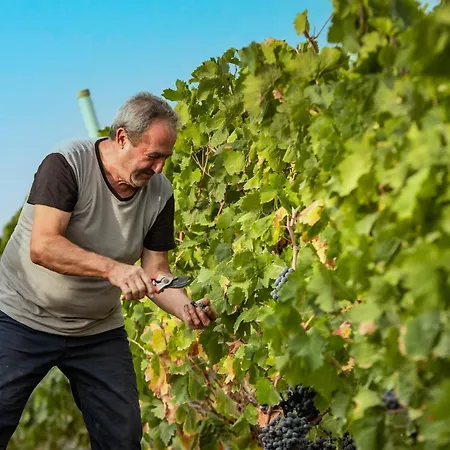 Farmház S'incant'e Sinis San Salvatore
