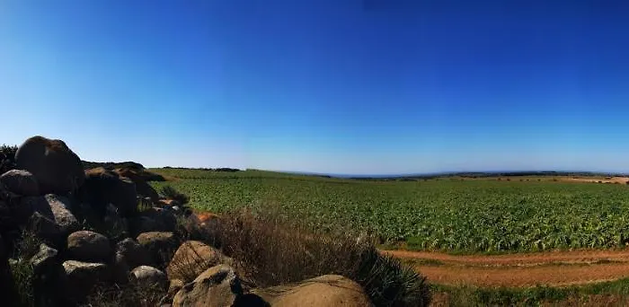 S'incant'e Sinis * San Salvatore (Sardinia)