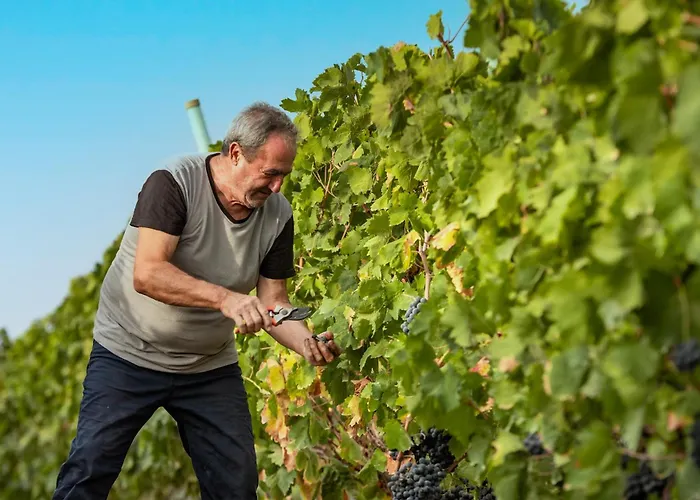 Alloggio per agriturismo S'incant'e Sinis San Salvatore (Sardinia)